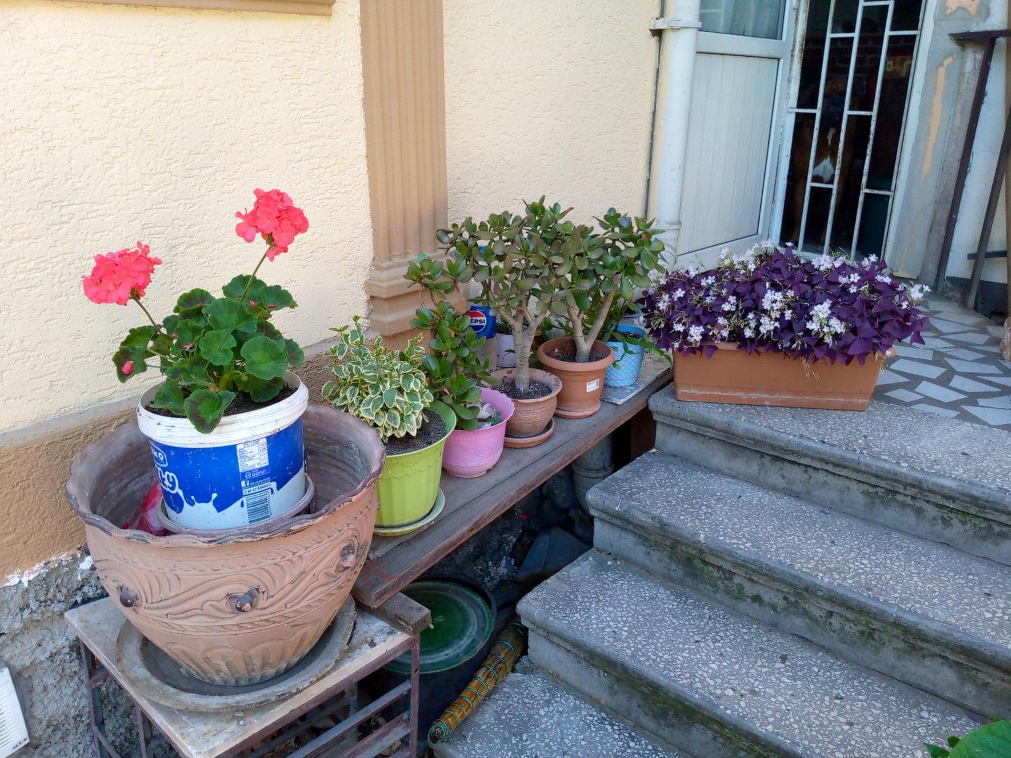 Once Upon In Old Tbilisi Apartment Exterior photo